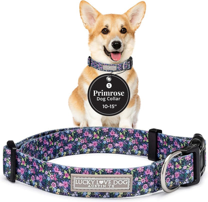 Lucky Love Dog - Easy Click Buckle Dog Collar with Leash Set Combo, Durable & Comfortable for Male & Female Dogs, Pet Collar for Medium Dogs, Secure Fit - Blackbird Combo, Medium36