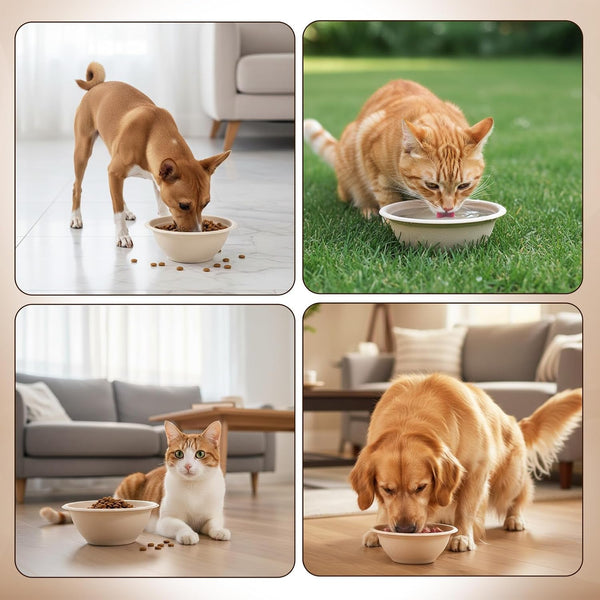 SHENLIU 200 Pcs Disposable Pet Bowls Bulk 8 Oz, Disposable Dogs Cat Food Travel Bowls Paper Puppy Cat Food Dish Safe Container for Outdoor Small Animal Feeding and Watering Supplies7