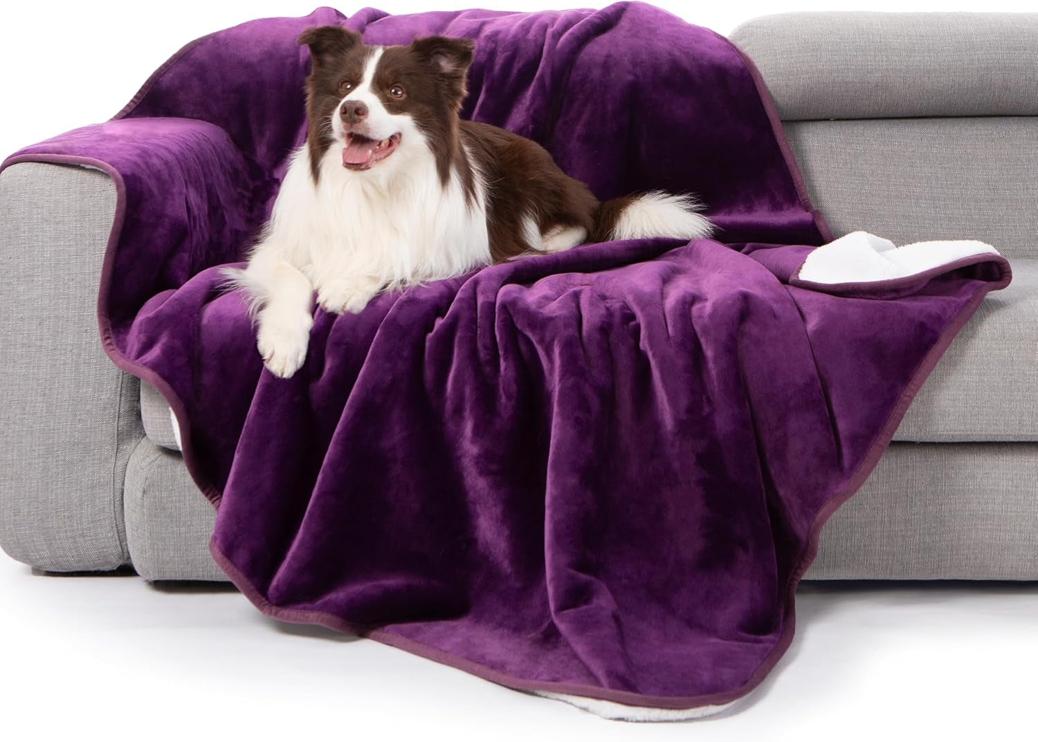 gogobunny-waterproof-bed-blanket-reversible-sherpa-fleece-throw-blanket-for-dog-puppy-cat-furniture-cover-protects-bed-couch-sofa-from-liquid-pee-and-pet-fur-dark-purple-50x60-inches
