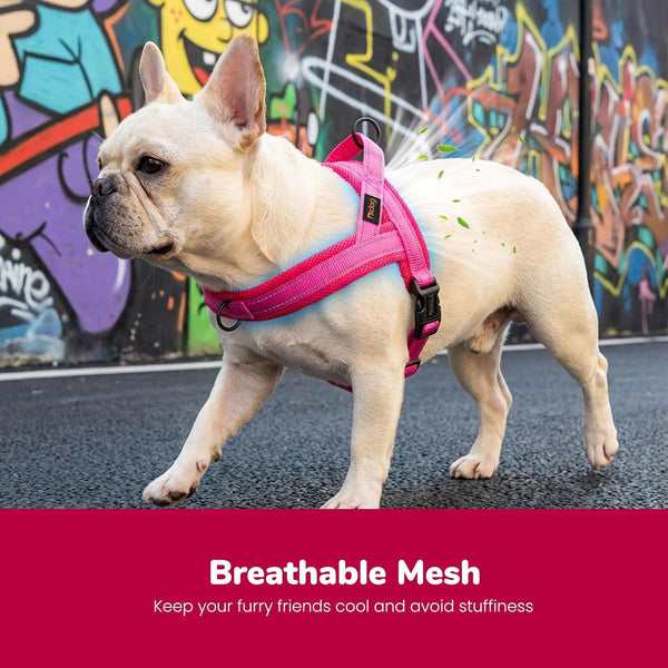 Didog No Pull Dog Harness for Small Dogs, Breathable Mesh Padded,Hot Pink,S | Quick Fit, Easy on and Off, Lightweight, Reflective Vest Harness for Night Safty, Easy for Walking and Training, Chest 18-22"2
