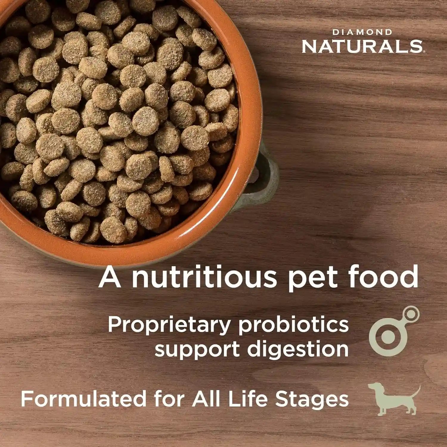 diamond-naturals-skin-coat-puppy-adult-senior-dry-dog-food-salmon-30lb-real-salmon-potato-omega-fatty-acids-help-support-healthy-skin-shiny-coat-guaranteed-probiotics-superfoods