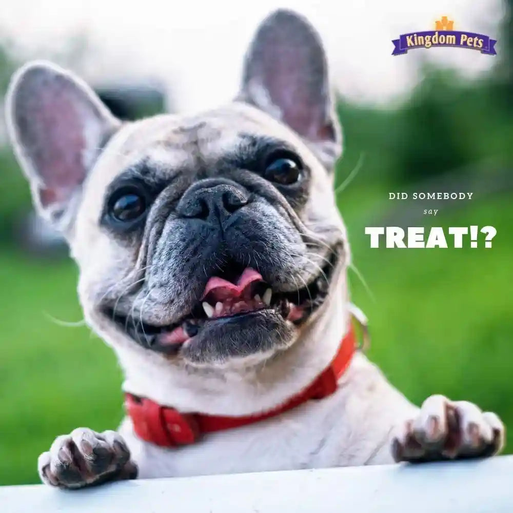 duck-jerky-sweet-potato-dog-treats-with-only-4-ingredients-and-no-fillers-3-pound-bag