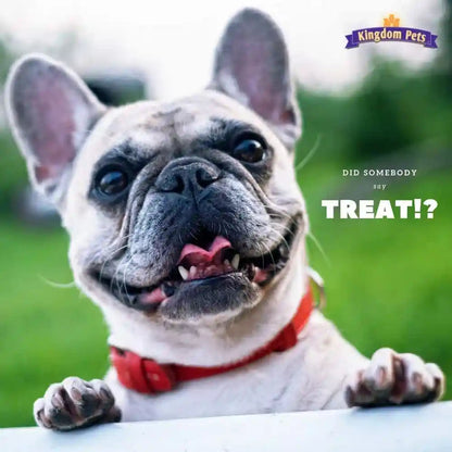 Duck Jerky & Sweet Potato Dog Treats with Only 4 Ingredients and No Fillers, 3 Pound Bag3