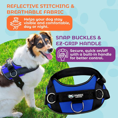 Joyride Basic Dog Harness 1.0 | Blue Serenity | M | Adjustable Pet Vest with 3 Side Leash Rings for Training, Walking and Improved Control for Small, Medium or Large Dogs5