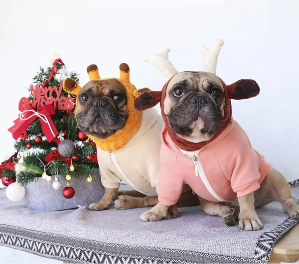 Ichoue French Bulldog Frenchie Clothes Hoodies for Dogs Pug English Boston Terrier Bully Pitbull Corgi Sweatshirt Sweater Clothing - Khaki/Xlarge4