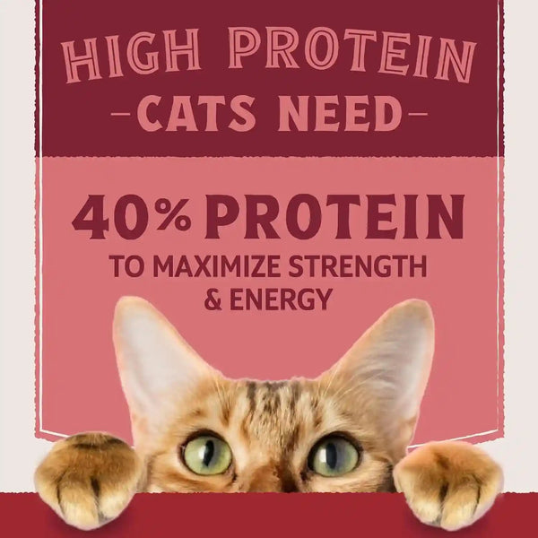 Natural Balance Ultra Protein Dry Cat Food, Real Salmon & Chicken Meal Recipe with Chicken Liver & Chicken Hearts - 10 Lbs.5