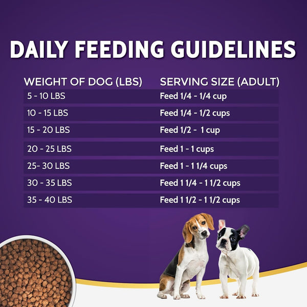 Zignature Turkey Limited Ingredient Formula Small Bites Dry Dog Food 4Lb6