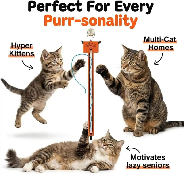 Moody Pet Interactive Cat Toy for Indoor Cats – Fling-Ama-String Automatic, Moving, Flying String Toy for Cats – Battery Operated, Door Hanging Exercise Toy for Kittens & Adult Cats3