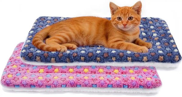 Mora Pets Dog Crate Pad - Ultra Soft Pet Bed with Cute Star Print, Washable Mat for Large Medium Small Dogs, Reversible Fleece Kennel Liner, Cat Bed 23 X 18 Inch Brown35