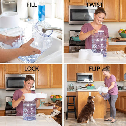 Petfusion H2O Gravity Pet Water Dispenser. Durable 2.5 Gallon Waterer Feeder. Automatic Station for Cats & Small, Medium, Large Dogs, Transparent5