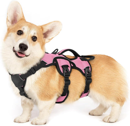 Rabbitgoo Escape Proof Dog Harness for Large, No Pull with Lift Handle | No Escape, Full Soft Padded, Reflective Adjustable Vest, Leash Clip for Walking Hiking Training, Black, Large32