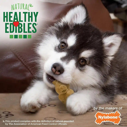Nylabone Healthy Edibles Puppy Dog Treats, Lamb & Apple Flavor, 12 Count | Natural Puppy Treats, USA Made, Highly Digestible, Vet Recommended, Small Dog Treats for Puppies up to 25 Lbs5
