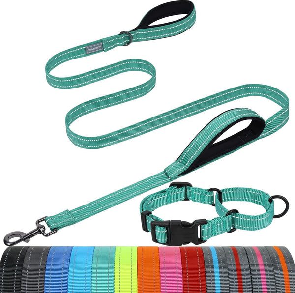 VIVAGLORY Double Handle Dog Leash Twingrip, 6Ft X 1In, Navy | Dog Leash for Collar with Traffic Handle & 2 Loop for Walking & Training, Traffic Control Reflective Heavy Duty Puppy Pet11