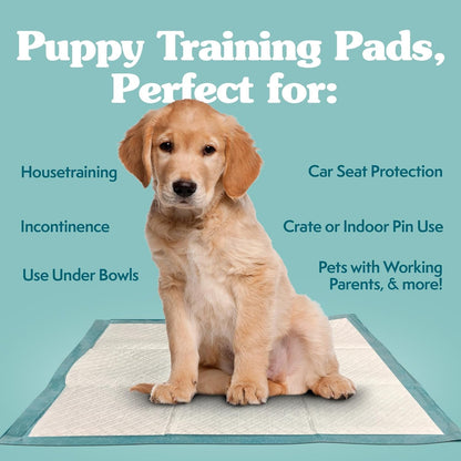 Simple Solution XL Pee Pads for Dogs, Leak Proof Dog Pads, 28X30, 100 Count | Dog Training Pads, Puppy Potty Training, Housebreaking, Disposable Pee Pads, Floor Protection, Indoor Potty, Puppy Essentials2