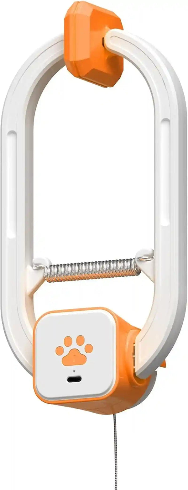 Interactive Cat Toy, Electric Cat Teaser, Door Clip, 2 Motion Modes,Gray | 360° Rotation • Random Jumping • Type-C Rechargeable • Door Clip Design • for Indoor Cats10