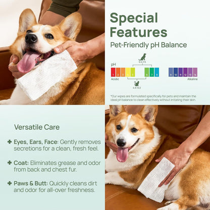 HICC PET Rear-End & External Anal Area Cleaning Deodorizing Wipes | Hydrating & Nourish Fur Dogs & Cats Grooming Wipes for Daily Cleaning5