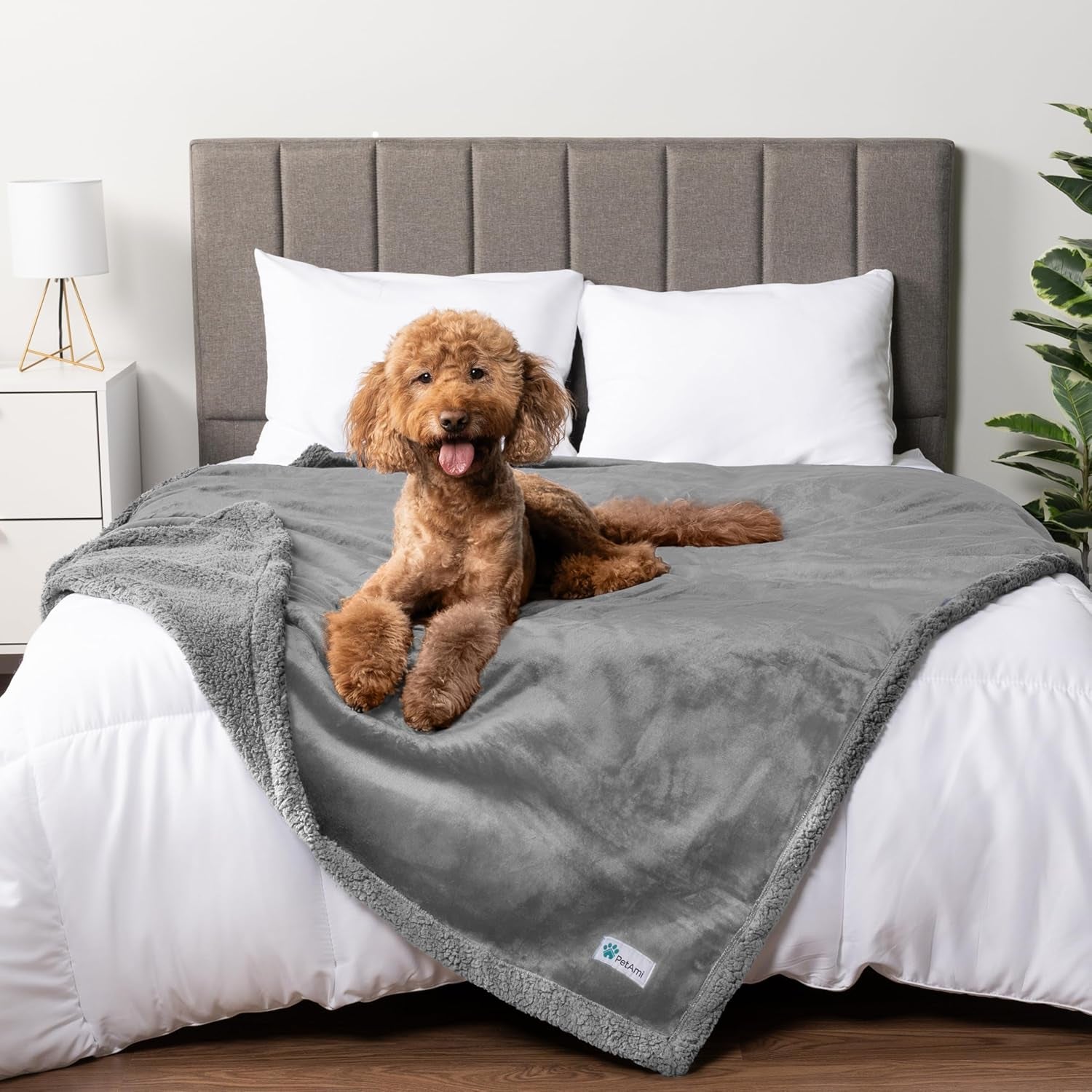 petami-waterproof-dog-blanket-for-couch-extra-large-80x60-pee-proof-sherpa-fleece-reversible-pet-throw-furniture-protector-for-bed-sofa-crate-kennel-soft-washable-cover-for-dog-cat-grey-sherpa