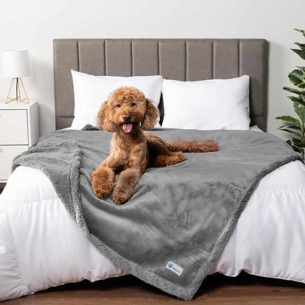 Petami Waterproof Dog Blanket for Couch, Extra Large 80X60, Pee Proof Sherpa Fleece Reversible Pet Throw, Furniture Protector for Bed Sofa Crate Kennel, Soft Washable Cover for Dog Cat, Grey Sherpa22