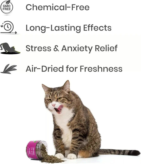 Catnip for Cats with Leaves and Flower Seeds 100% Natural and Organic Catnip Premium Cat Nip for Cats & Kittens Used as a Snack or Refillable Catnip Treats for Cats (1/2 Cup)4