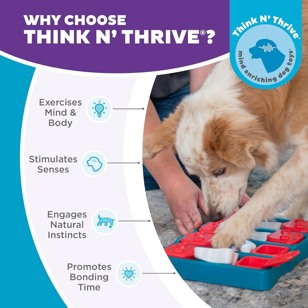 Outward Hound by Nina Ottosson Dog Brick – Interactive Treat Puzzle Enrichment Toy, Level 2 Intermediate6