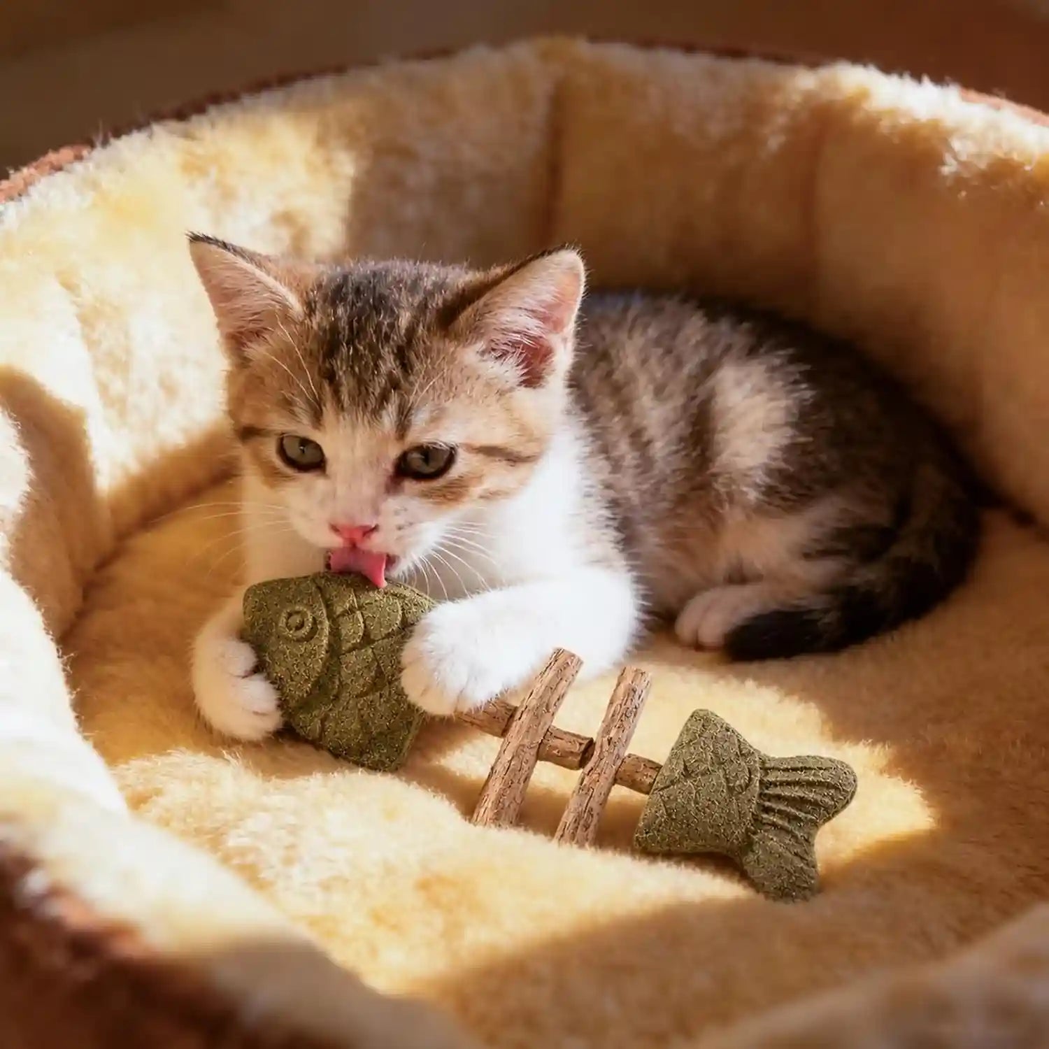 3pcs-catnip-and-silvervine-chew-fishbone-cat-dental-chew-toy-cat-chew-stick-for-teething-boredom-relief-daily