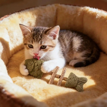 3Pcs Catnip and Silvervine Chew, Fishbone Cat Dental Chew Toy, Cat Chew Stick for Teething, Boredom Relief & Daily2