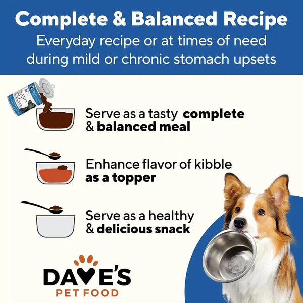 Dave'S Pet Food Bland Diet Dog Food (Chicken & Rice), Sensitive Stomach, Easy to Digest Pate, Gluten-Free, Digestive Care, Low Fat (6%) Limited Ingredients, Complete & Balanced, 13.2 Oz (Case of 12)8
