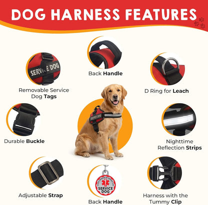 Service Dog Vest, ID Tag 50 ADA Information Cards - Harness with Patchs - M | MEDIUM (Chest: 21.5 - 26 Inch) Durable Metal Tag, 2-Sided Service Animal Cards. ESA Accessory Set4