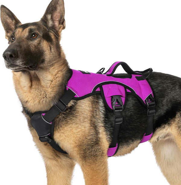 Rabbitgoo Escape Proof Dog Harness for Large, No Pull with Lift Handle | No Escape, Full Soft Padded, Reflective Adjustable Vest, Leash Clip for Walking Hiking Training, Black, Large59