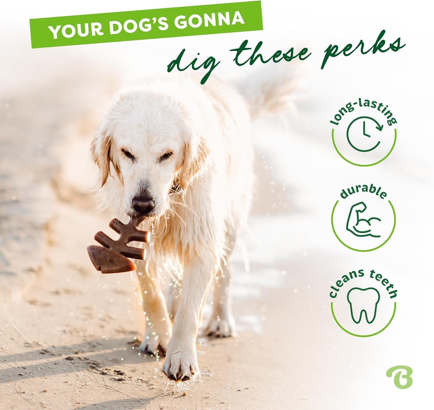 benebone-fishbone-durable-dog-chew-toy-for-aggressive-chewers-real-fish-made-in-usa-medium