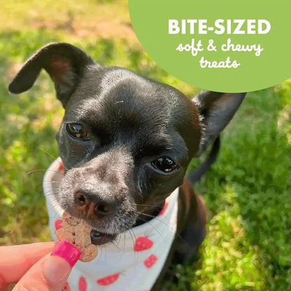 Buddy Biscuits Softies 6 Oz. Bag, Soft & Chewy, Natural Roasted Chicken Flavor Dog Treats, Oven Baked in the USA8