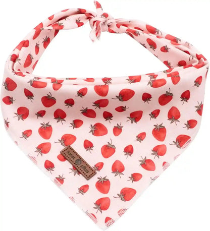 Lionet Paws Dog Bandana for Small Medium Large Dogs, Cat Kerchief Blue DOIT, Triangle Bibs Scarf for Girl or Boy33