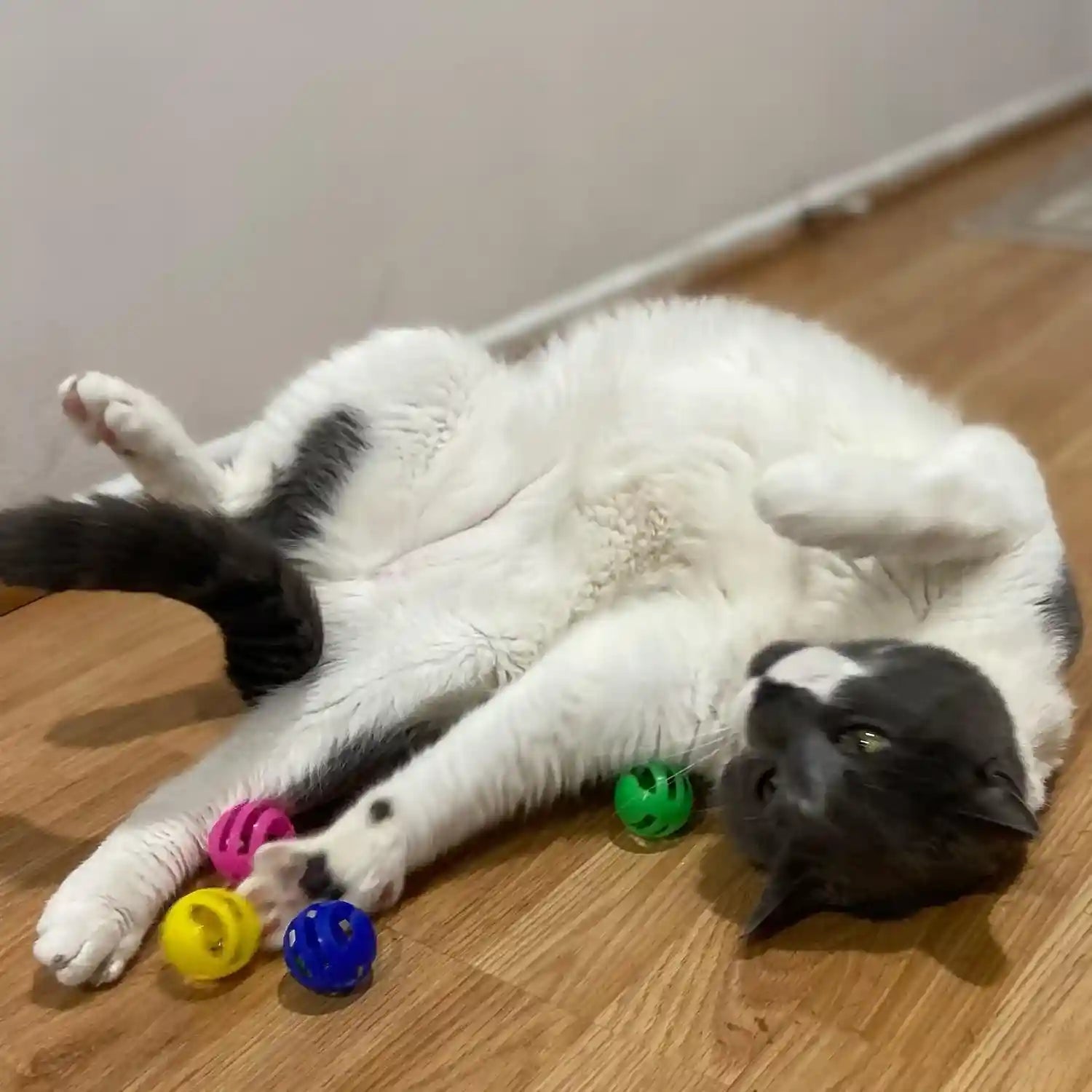 spot-slotted-balls-cat-toy-interactive-cat-toys-for-indoor-cats-to-chase-hunt-and-stimulate-jingle-bell-inside-for-sound-when-batted-around-safe-and-non-toxic-1-5-assorted-4-pack