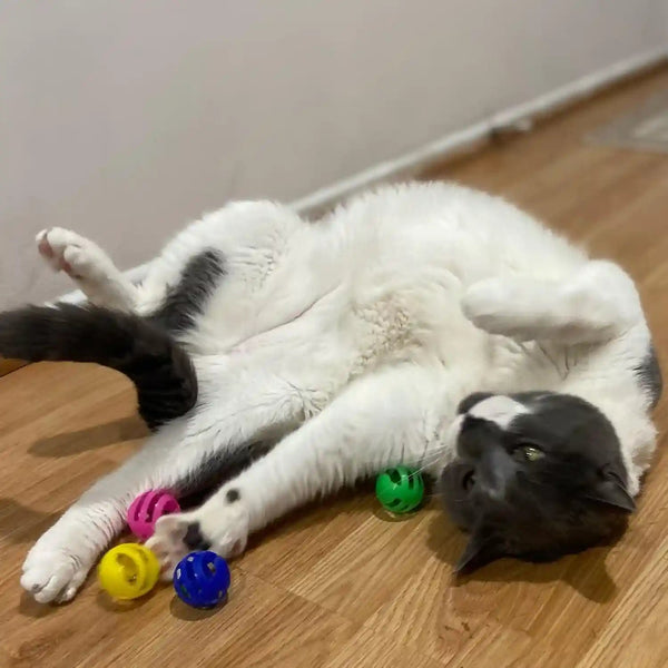 SPOT Slotted Balls Cat Toy - Interactive Cat Toys for Indoor Cats to Chase, Hunt and Stimulate - Jingle Bell inside for Sound When Batted around - Safe and Non-Toxic - 1.5" Assorted 4-Pack8