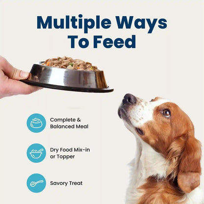 Blue Buffalo Family Favorite Recipes Sunday Chicken Dinner in Gravy Natural Wet Dog Food for Adult Dogs, Grain-Free Recipe with Natural Ingredients, Vitamins & Minerals, 12.5-Oz. Can (12 Count)10
