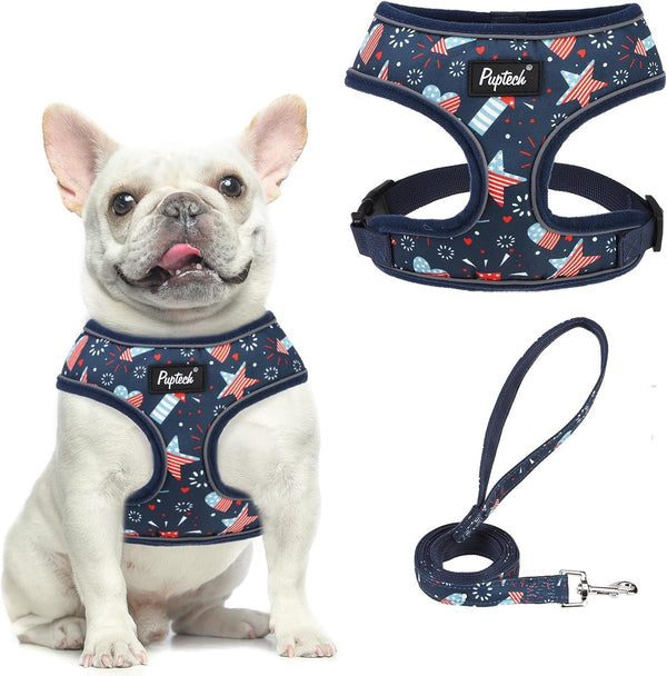 PUPTECK Soft Mesh Dog Harness Small Sized and Leash Set Pet Puppy Cat Comfort Padded Vest No Pull Harnesses, Beige, S71