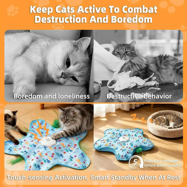 Interactive Cat Toy, Peek-A-Boo Series – Hidden Feather Wand, Rechargeable Indoor Hunting Toy, Squeaky Bird Sound, and Small Fish Pattern Cover3