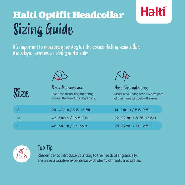 Halti Optifit Headcollar Size Medium & Halti Training Leash Size Large, Black Combination Pack - Stop Your Dog Pulling on the Leash. Adjustable with Padded Nose Band. Suitable for Medium Dogs7