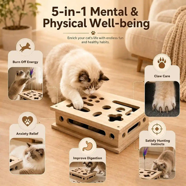 2026 New Cat Scratch Puzzle Enrichment Box, Interactive Cat Nail File Box with Catnip & Bell Ball, Cat Scratcher Toy with Teaser Wand, Stress-Free Alternative to Clippers & Grinders5