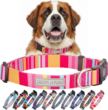 Lucky Love Dog - Easy Click Buckle Dog Collar with Leash Set Combo, Durable & Comfortable for Male & Female Dogs, Pet Collar for Medium Dogs, Secure Fit - Blackbird Combo, Medium93