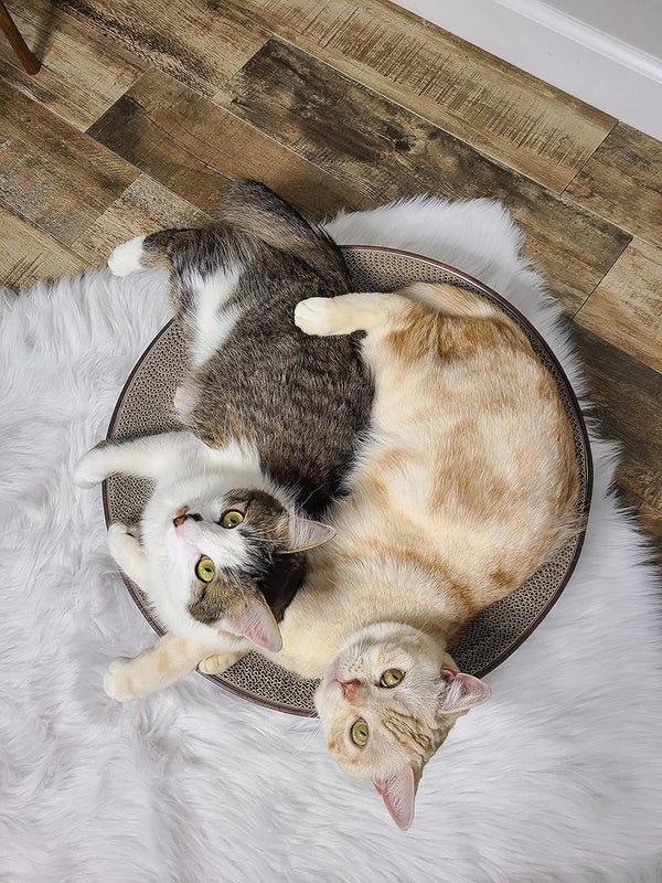 Necoichi Cat Scratcher Bowl for Indoor Cats - Cat Scratching Lounger with Reversible Usability and Extra Comfort for Lounge, Cardboard Bed Couch / (Regular, Dark Cherry)9