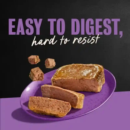 Cesar Wet Dog Food Classic Loaf in Sauce Grilled Chicken, Filet Mignon, Porterhouse Steak, Beef, Chicken & Liver and Turkey Variety Pack 3.5 Oz. Easy Peel Trays (36 Count, Pack of 1) | Made in USA, Real Meat #1 Ingredient, No Fillers or Artificial Flavors, Formulated without Grains, Easy Peel Trays12