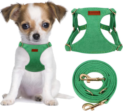 CHEDE No Pull Puppy Harness and Multifunction Dog Leash Set- 8 Colors Soft Adjustable No Choke Escape Proof Cute,Lightweight Pet Vest Harness for Small and Medium Dog…14