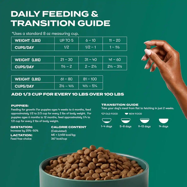 Jinx Dry Dog Food - Real Salmon, Brown Rice & Sweet Potato, 4Lb | Premium Kibble for Digestive Support & Healthy Immunity - No Fillers, All Lifestages (Puppy, Adult & Senior), Breeds & Sizes8