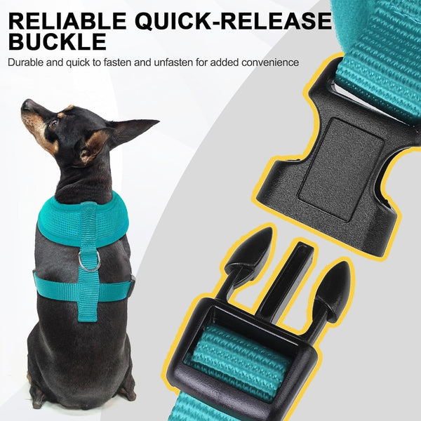 BINGPET Small Dog Harness, No Pull Dog Harness Small Sized Dogs, Soft Light Breathable Mesh Puppy Vest with Safety Buckle-Adjustable Step in Pet Harnesses for Easy Walking, Running, Training5