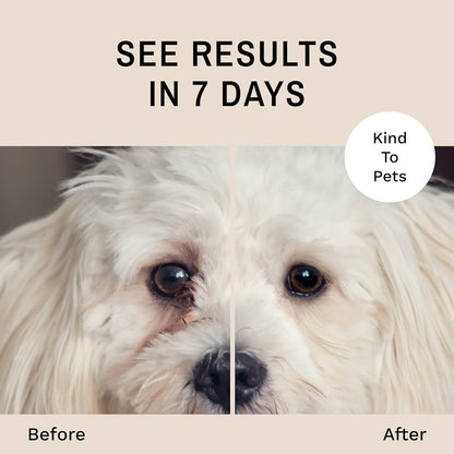 Eye Envy Tear Stain Wipes for Dogs. Textured to Gently Clean. Presoaked in Natural Formula. Recommended by AKC Breeders, Professional Groomers. Cleans Staining. USA Made. 60 Wipes3