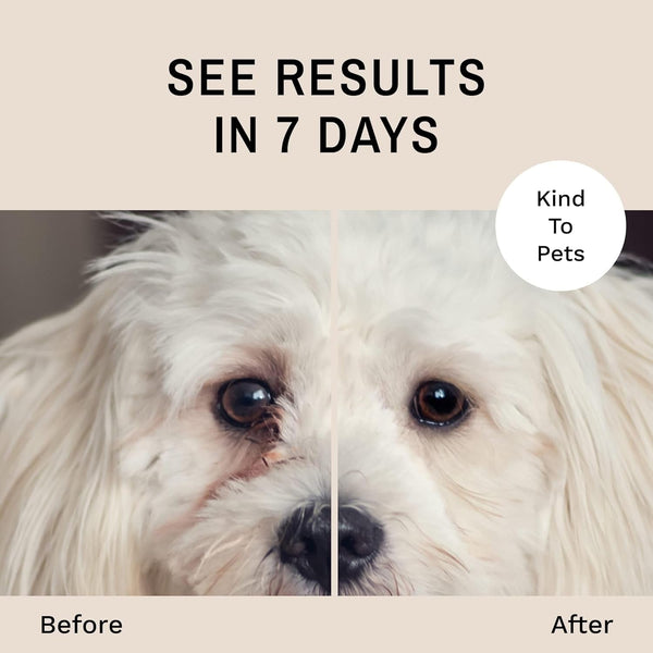 Eye Envy Tear Stain Wipes for Dogs. Textured to Gently Clean. Presoaked in Natural Formula. Recommended by AKC Breeders, Professional Groomers. Cleans Staining. USA Made. 60 Wipes3