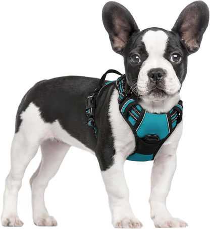 Rabbitgoo Dog Harness, No Pull for Large Dogs with 2 Leash Clips, Pet Vest | No Choke with Handle, Adjustable Soft Padded, Reflective, Easy Control for Walking, Black, Large103