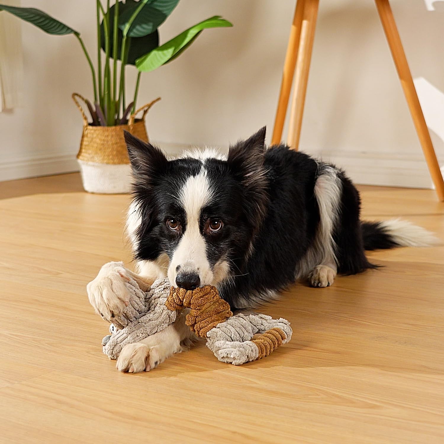 tug-of-war-dog-toy-crinkle-dog-toys-for-large-dog-soft-dog-plush-toy-with-squeaky-stuffed-animal-for-dogs-tug-series-donkey