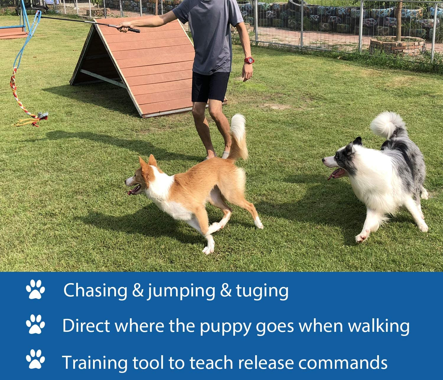 interactive-flirt-pole-toy-for-dogs-chase-outdoor-exercise-agility-training-durable-teaser-wand-with-pet-fleece-rope-tether-lure-for-small-medium-large-breeds-high-energy-dogs-herding-and-tug-of-war